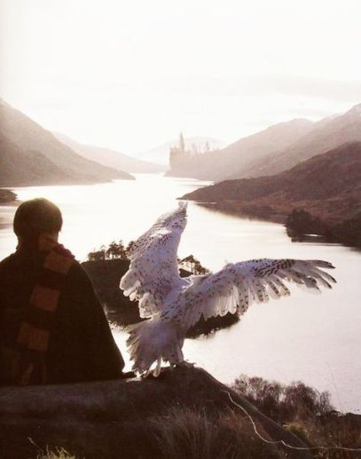 Hogwarts will always be there to welcome you home.